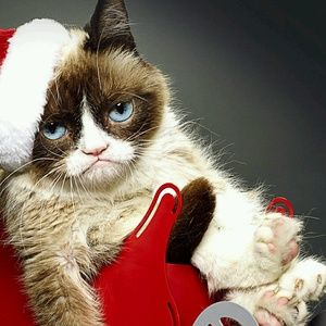 Meet your Posher, Maribel